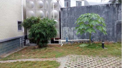 河池市強製戒（jiè）毒所